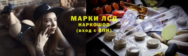 сатива Корсаков