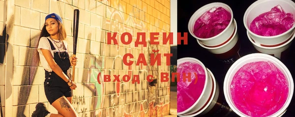 сатива Корсаков