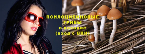сатива Корсаков