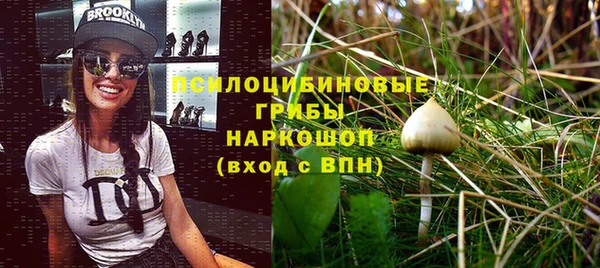 сатива Корсаков