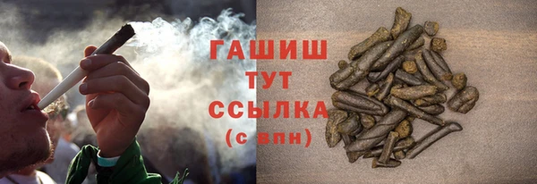 сатива Корсаков
